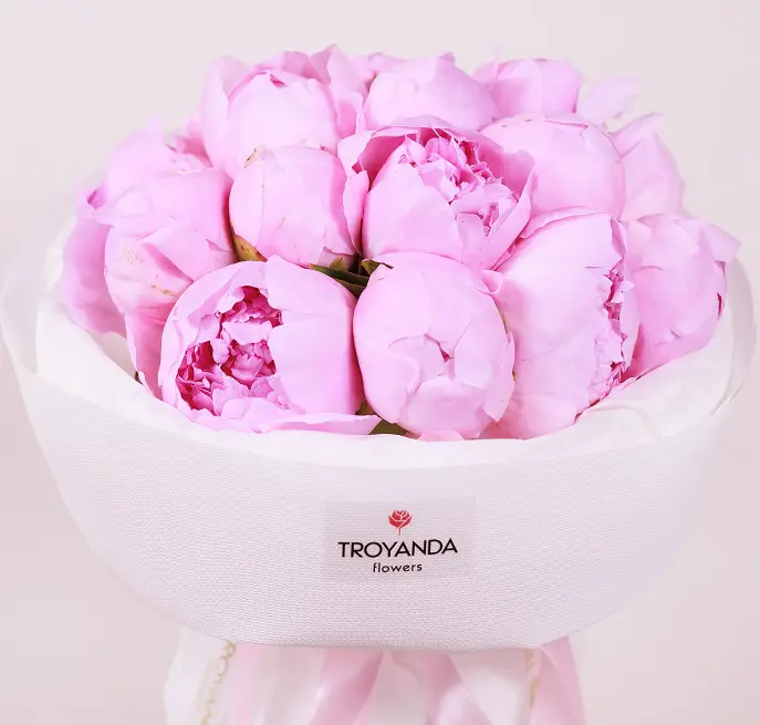 Пион купить