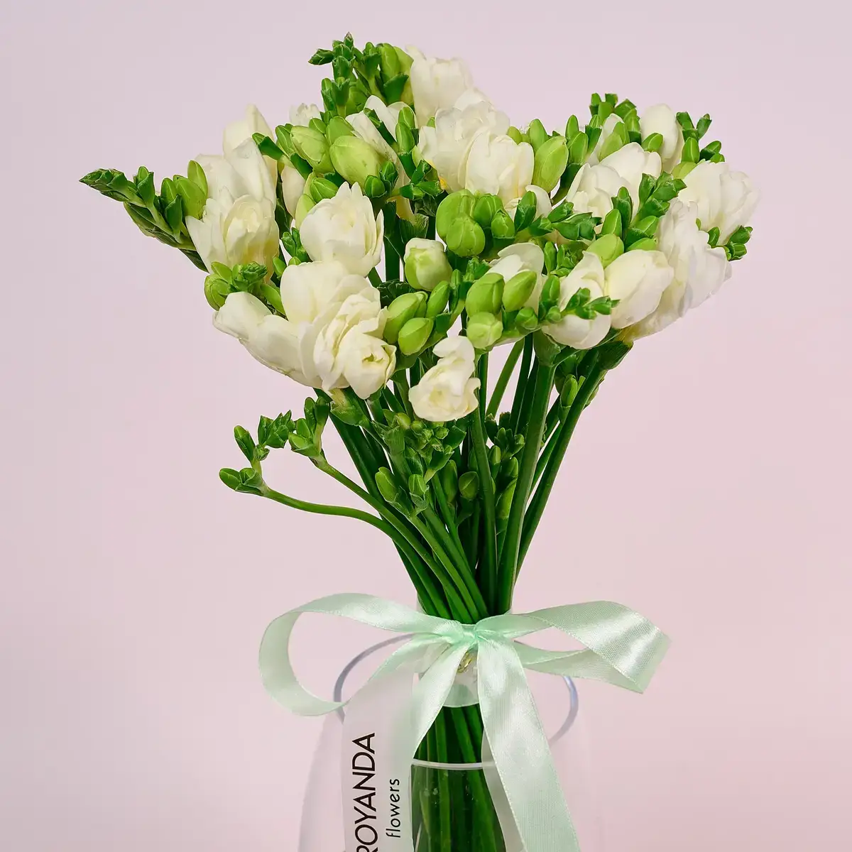 Фрезія купити