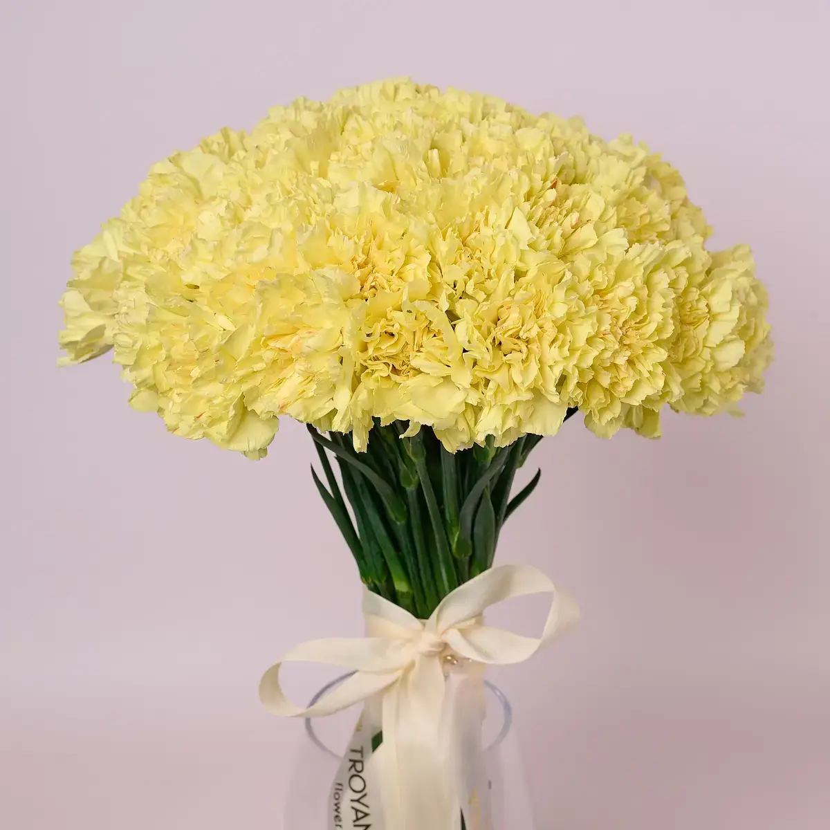 Гвоздика купити