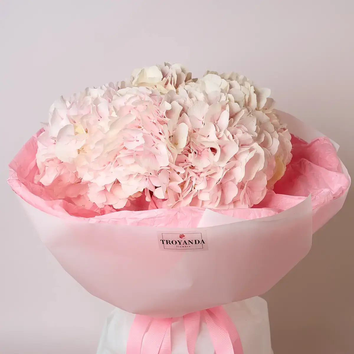 Гортензія купити