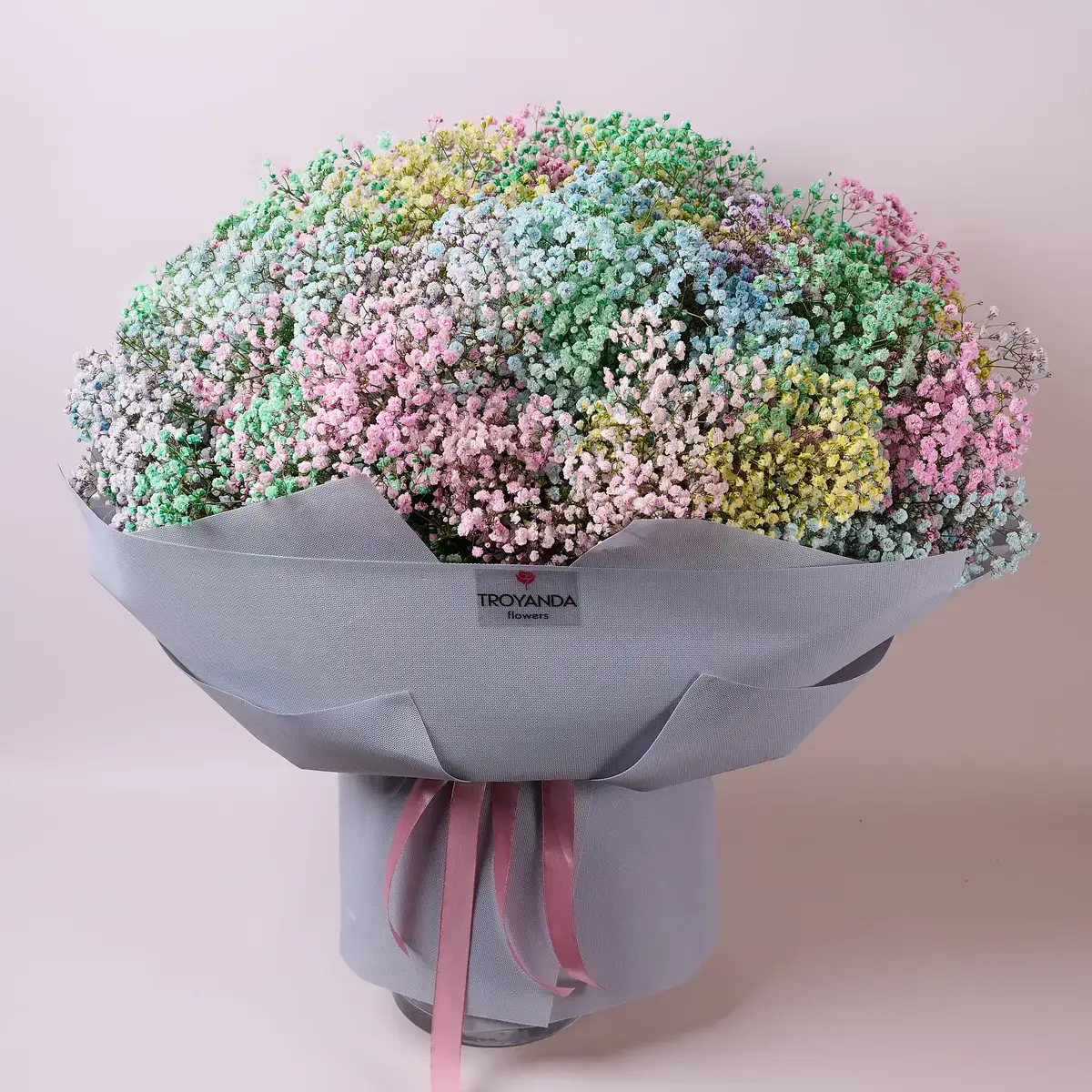 Гіпсофіла купити