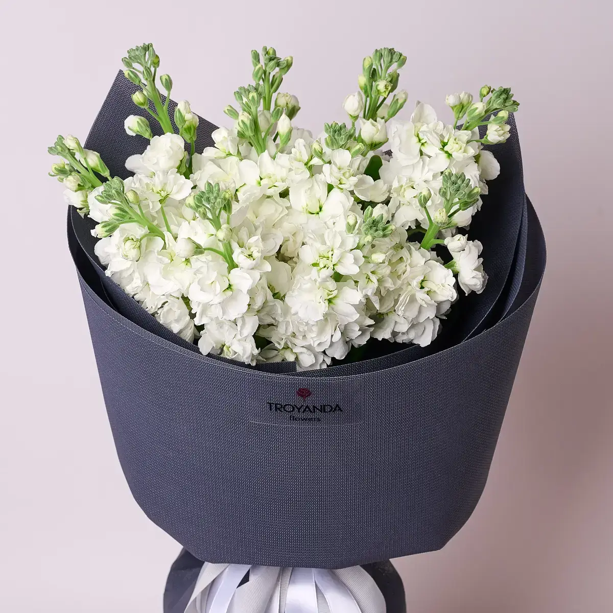 Матиола купить