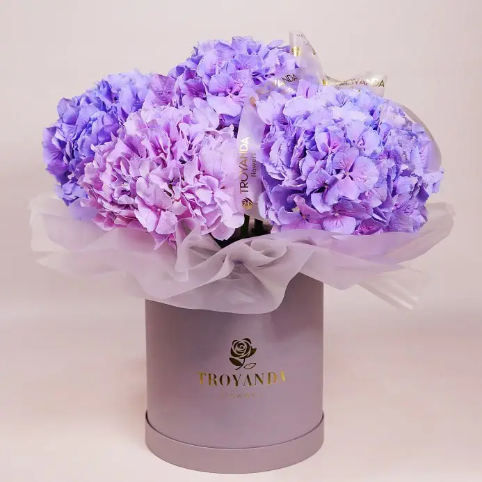 Гортензии в коробке купить