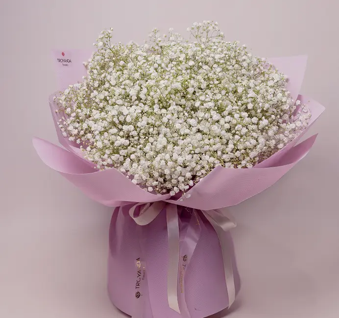 Букети гіпсофіл купити