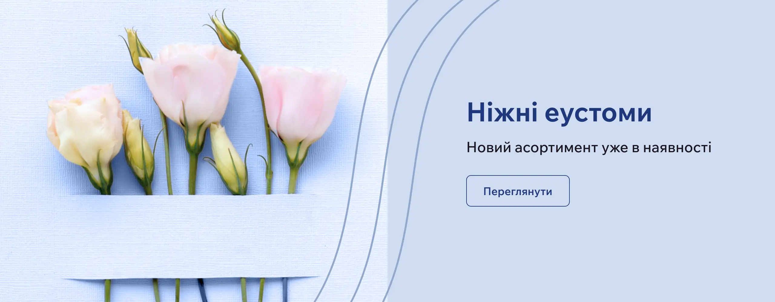 Ніжні еустоми купити