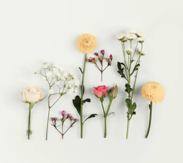 None купити недорого в Україні, фото 30