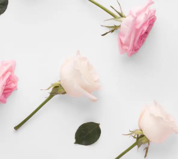 None купити недорого в Україні, фото 31