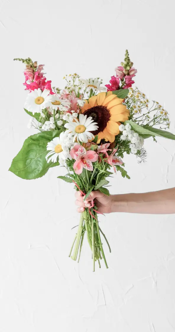 None купити недорого в Україні, фото 33