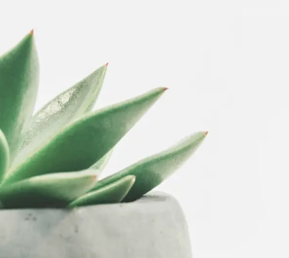 None купити недорого в Україні, фото 40