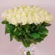Букет 65 Троянд білих Аваланч купити