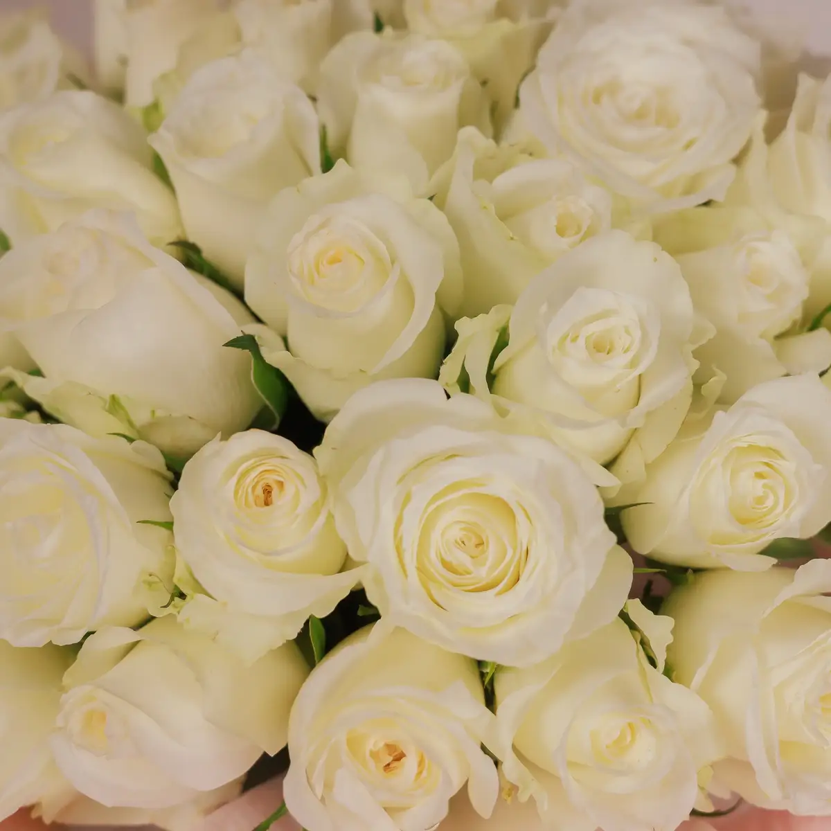 Букет 35 Троянд білих Альпе Де Хуез купити недорого в Україні, фото 3
