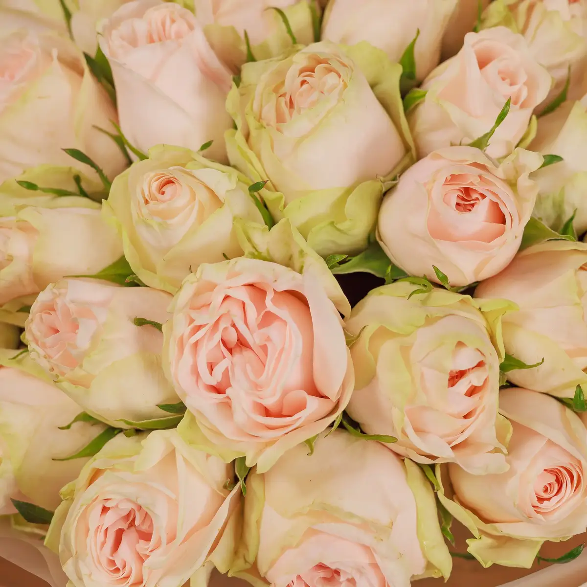 Букет 49 Троянд Ведінг Роуз купити недорого в Україні, фото 3