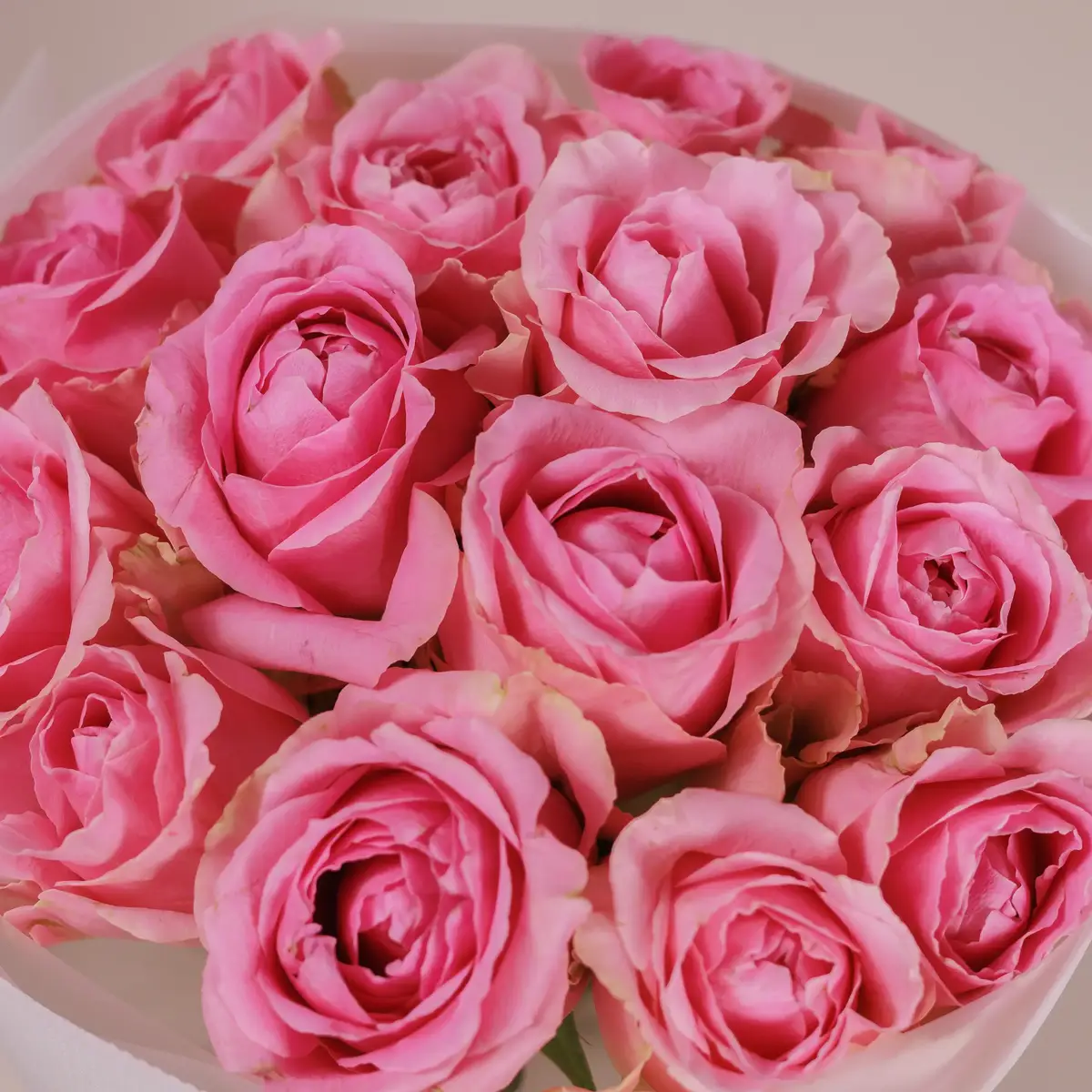 Букет 15 Роз Вхам купить недорого в Украине, фото 3