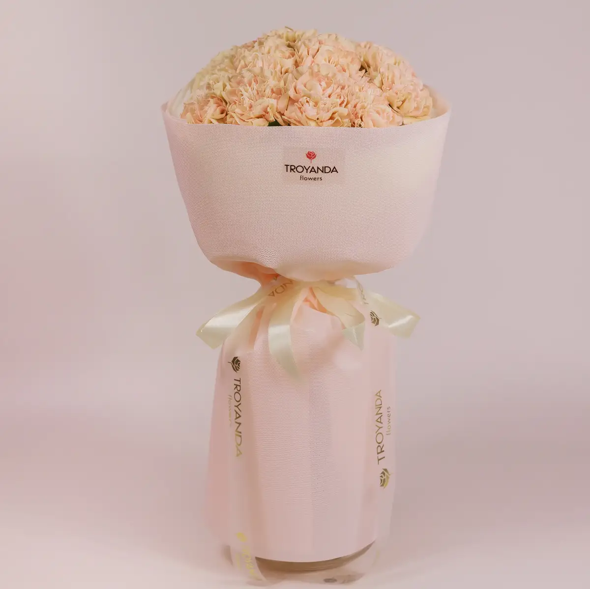 Букет 15 Бежевих Гвоздик купити