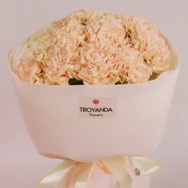 Букет 15 Бежевих Гвоздик купити