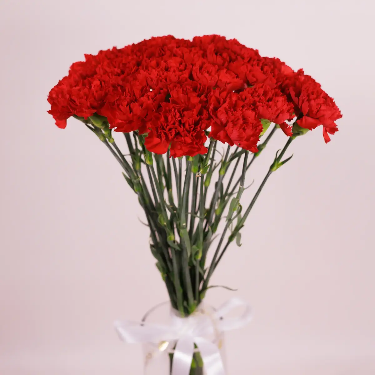 Букет из 25 красной гвоздики купить недорого в Украине, фото 2