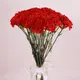 Букет из 25 красной гвоздики купить