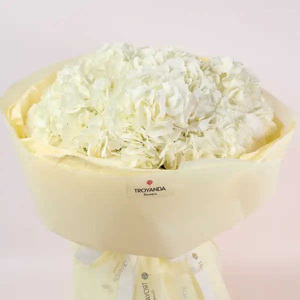 Букет 7 Білих Гортензій купити