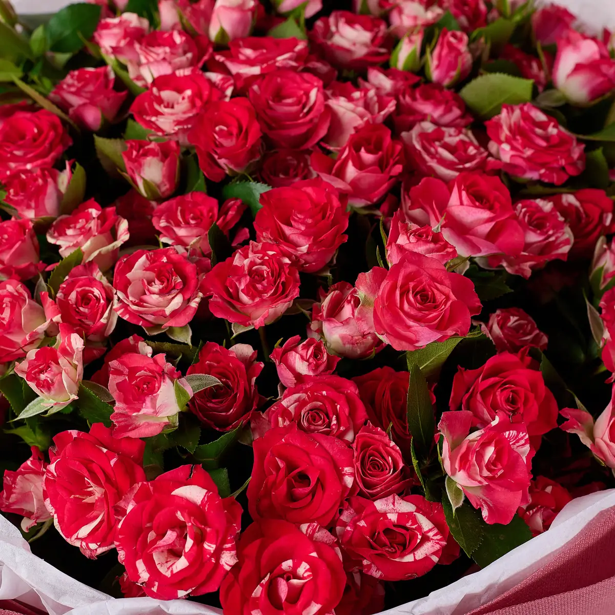 Букет 25 Троянд спрей Фаєрворкс купити недорого в Україні, фото 3