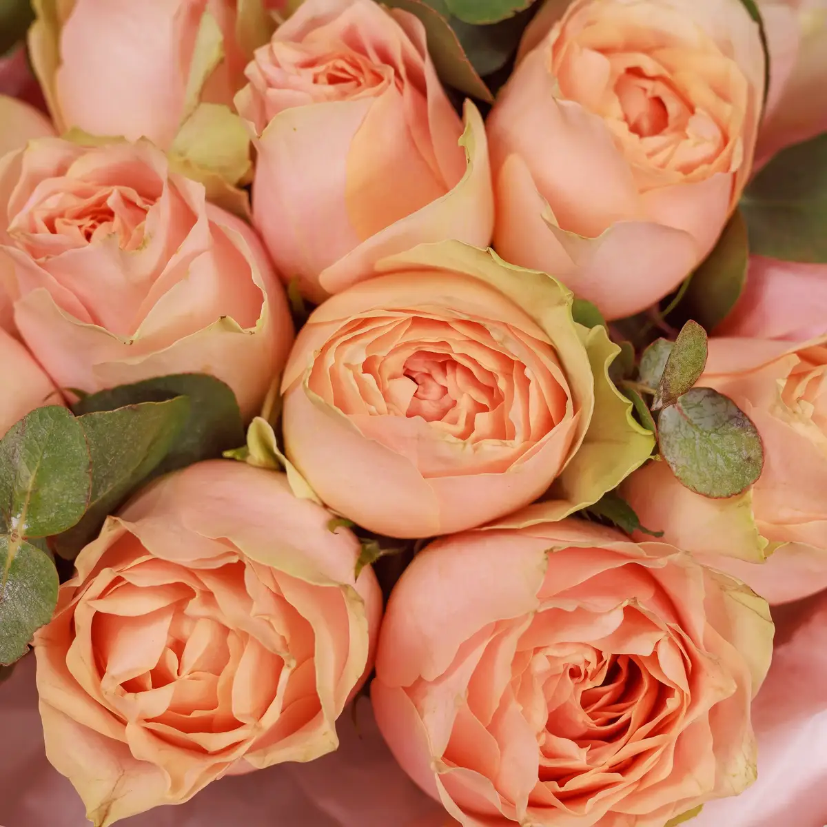 Букет 15 Роз Гравити купить недорого в Украине, фото 3