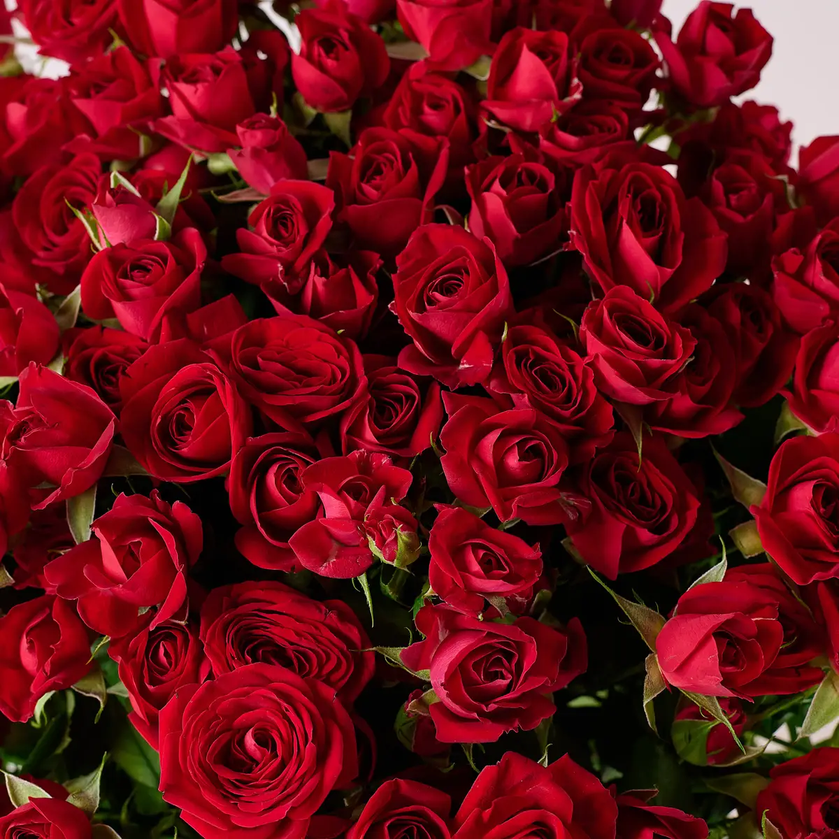 Букет 31 Троянда спрей Домініка купити недорого в Україні, фото 3