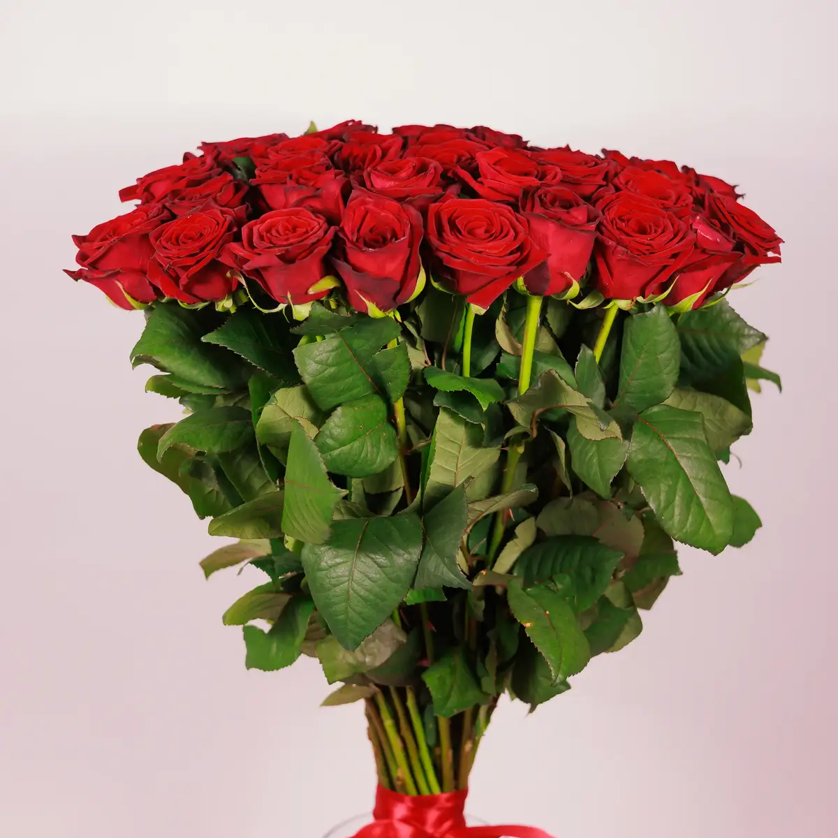 Букет из 45 красных роз Престиж купить недорого в Украине, фото 2