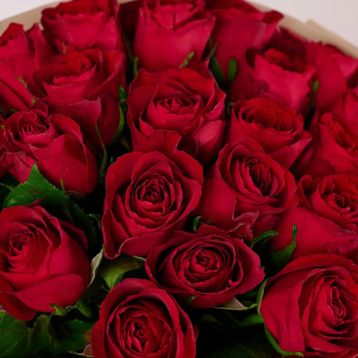 Букет 21 Троянда червона Мадам Ред купити недорого в Україні, фото 3