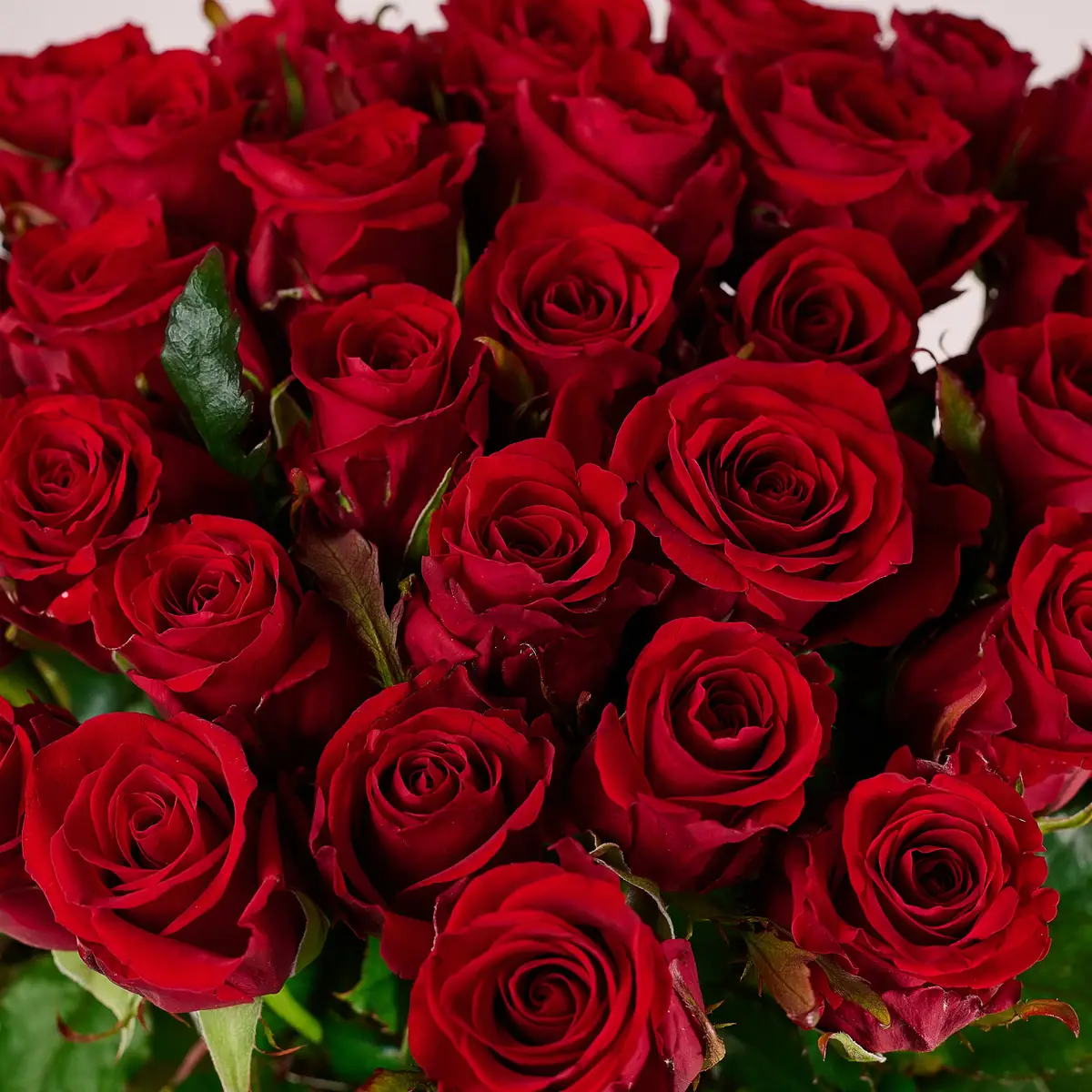 Букет 31 Роза красная Ред Игл купить недорого в Украине, фото 3