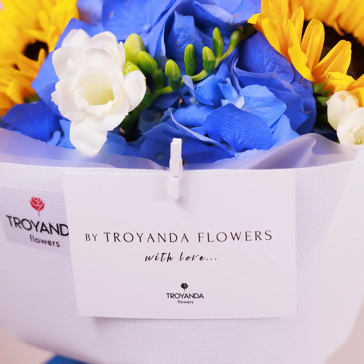 Листівка біла в асортименті купити