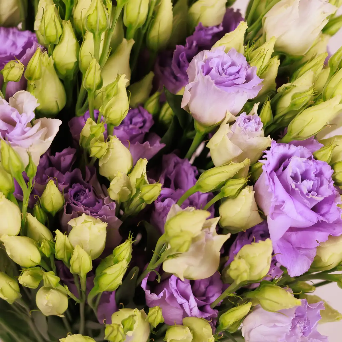 Букет 15 Лавандовых эустом купить недорого в Украине, фото 3