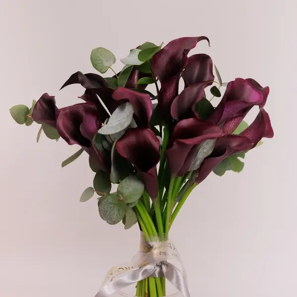 Букет 15 бордовых зантадезий с эвкалиптом. купить