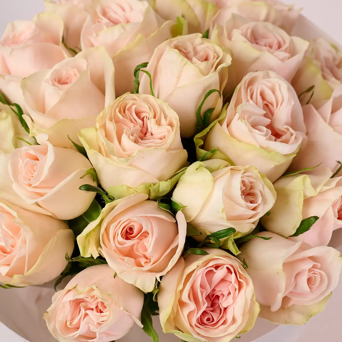 Букет 21 Роза Вединг Роуз купить недорого в Украине, фото 3