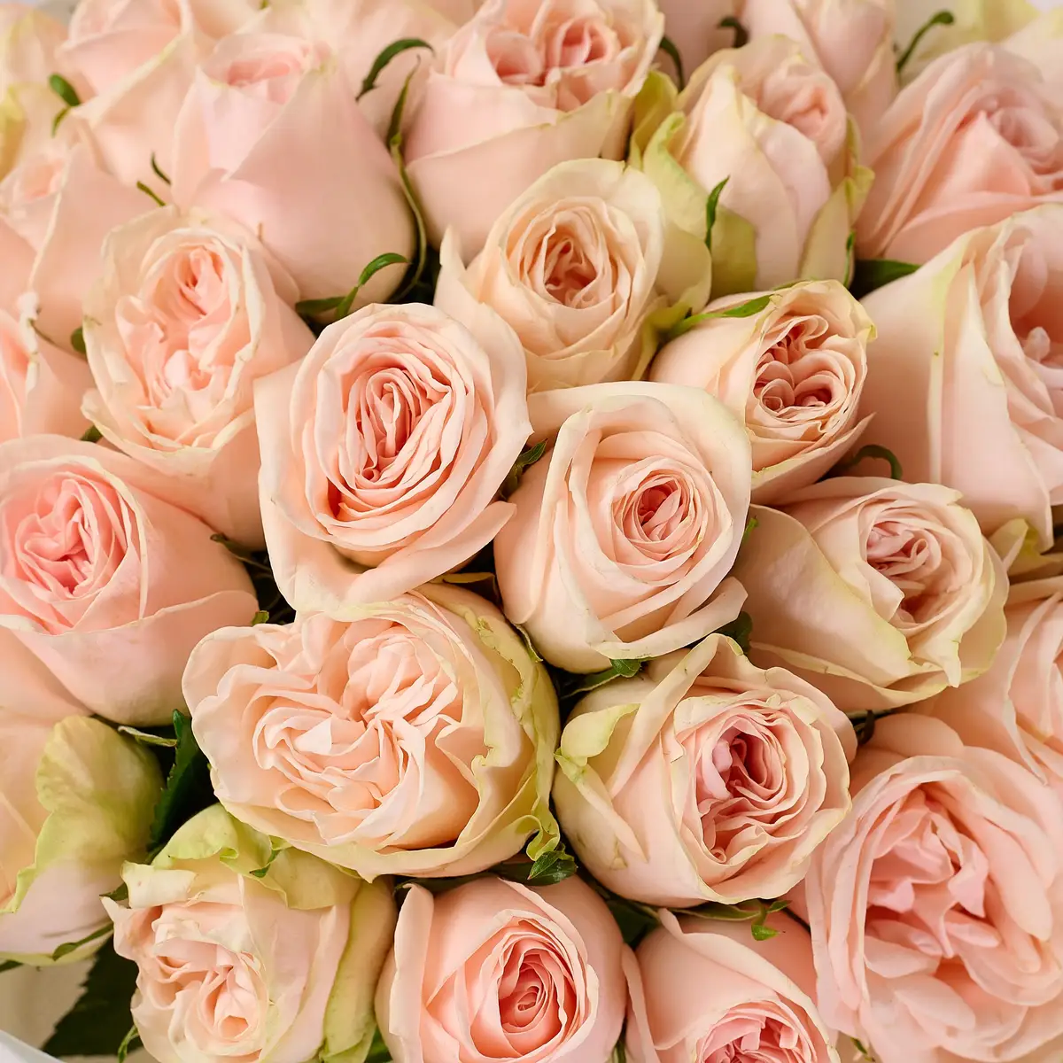 Букет 39 Роз Вединг Роуз купить недорого в Украине, фото 3