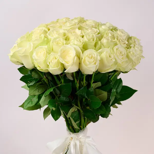 Букет 51 Роза белая Сновсторм купить