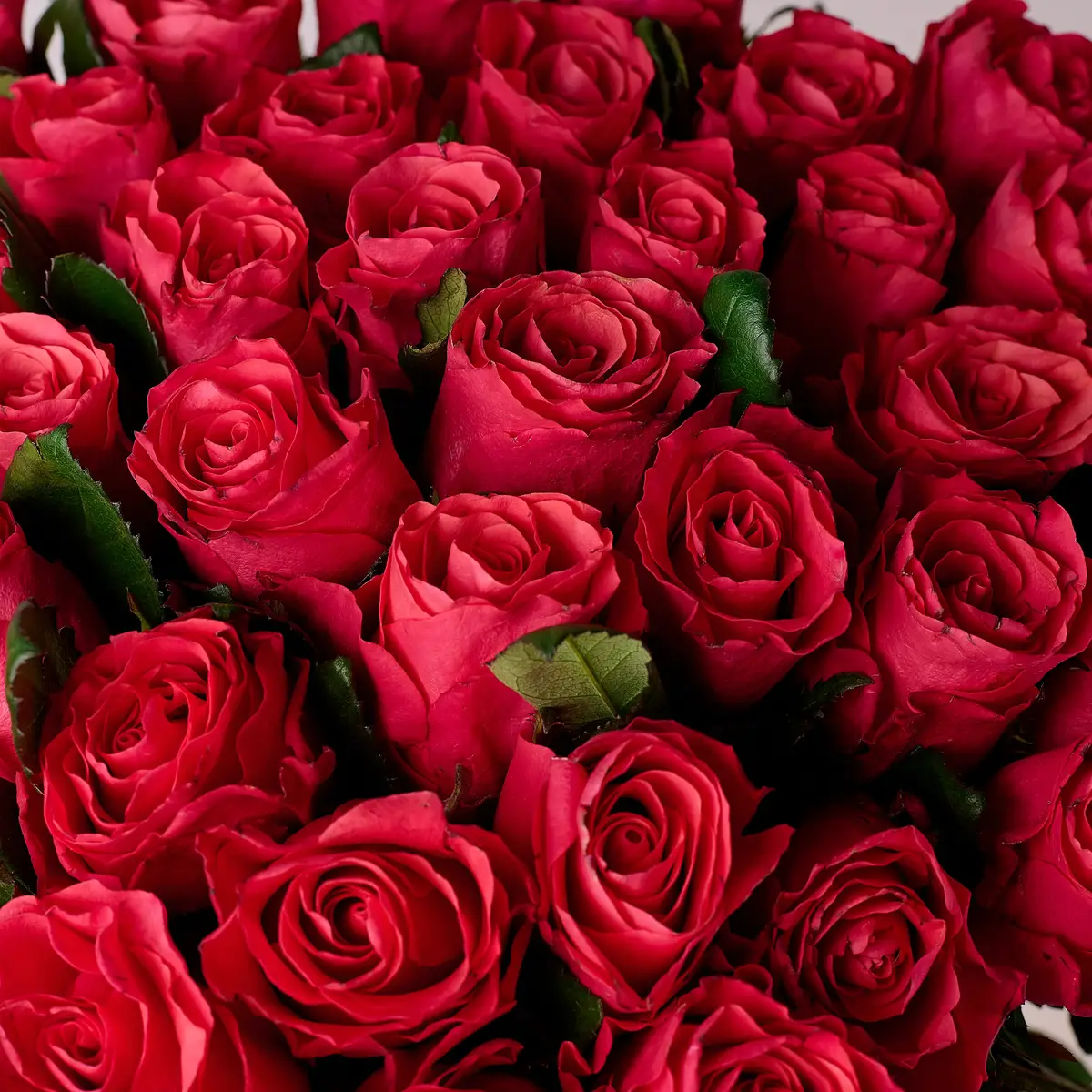 Букет 39 Троянд Пінк Таказі купити недорого в Україні, фото 3