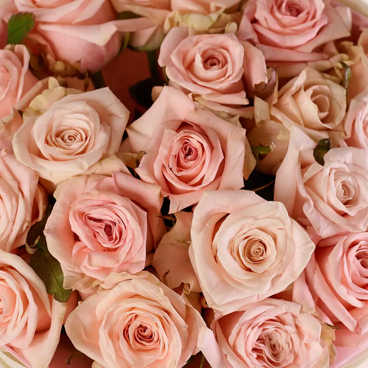 Букет 21 Роуз Кимберли купить недорого в Украине, фото 3