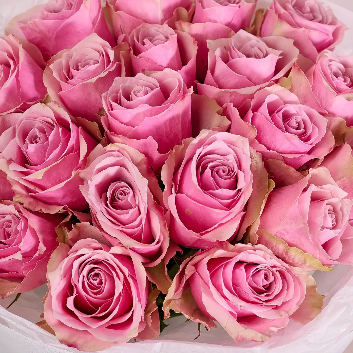 Букет 21 Роза Атена Роял купить недорого в Украине, фото 3