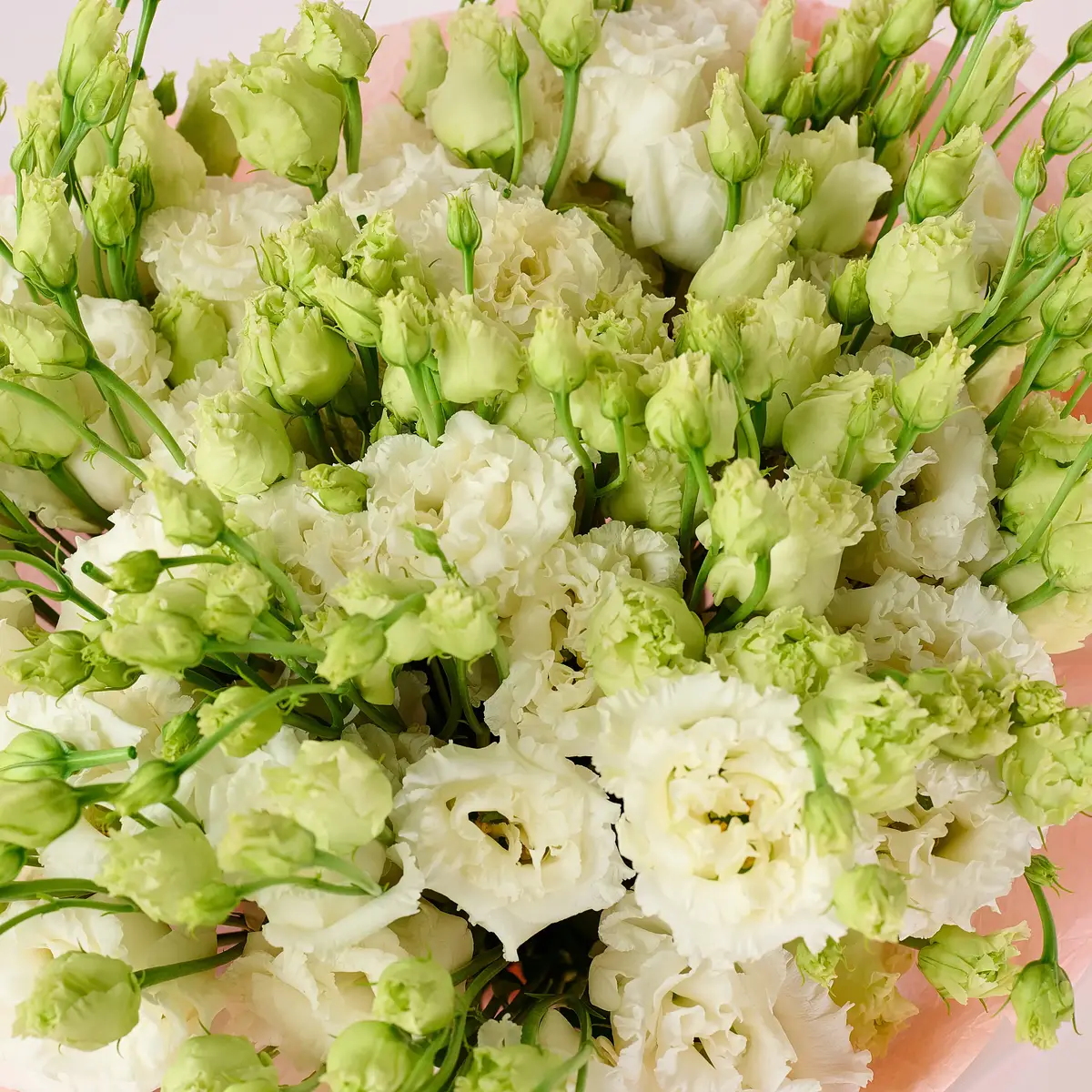 Букет 11 белых еустом купить недорого в Украине, фото 3