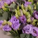 Букет 9 Лавандових еустом купити