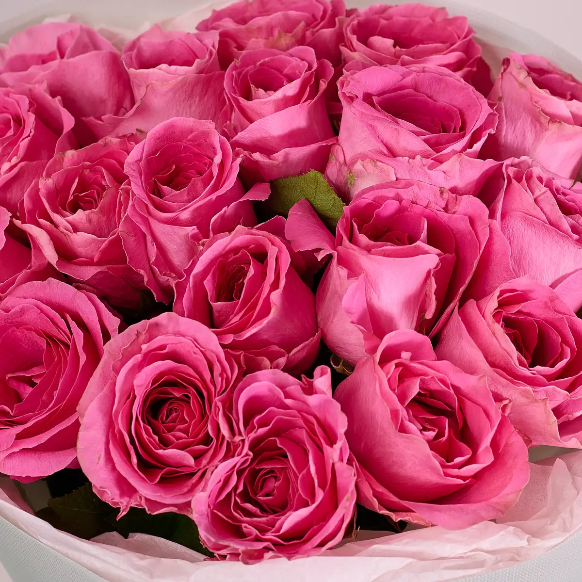 Букет 19 Роз Вотергейм купить недорого в Украине, фото 3