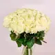 Букет 51 Троянда біла Аваланч купити