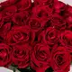 Букет 25 Троянд червоних Евер Ред купити