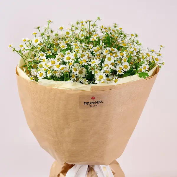 Букет 21 Польова Ромашка купити