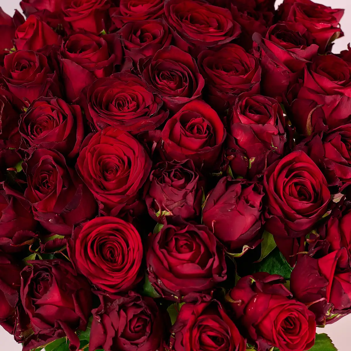 Букет 51 Роза красная Ред Наоми купить недорого в Украине, фото 3