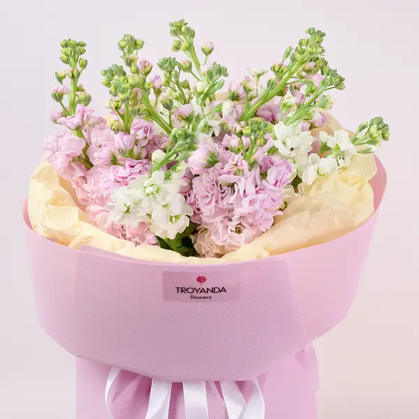 Букет 15 Матіол Мікс купити