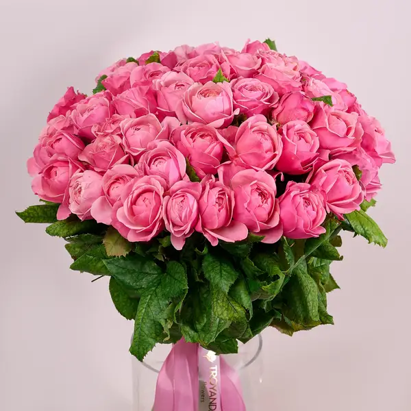 Букет 51 Троянда Сільва Пінк купити