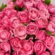 Букет 51 Троянда Сільва Пінк купити