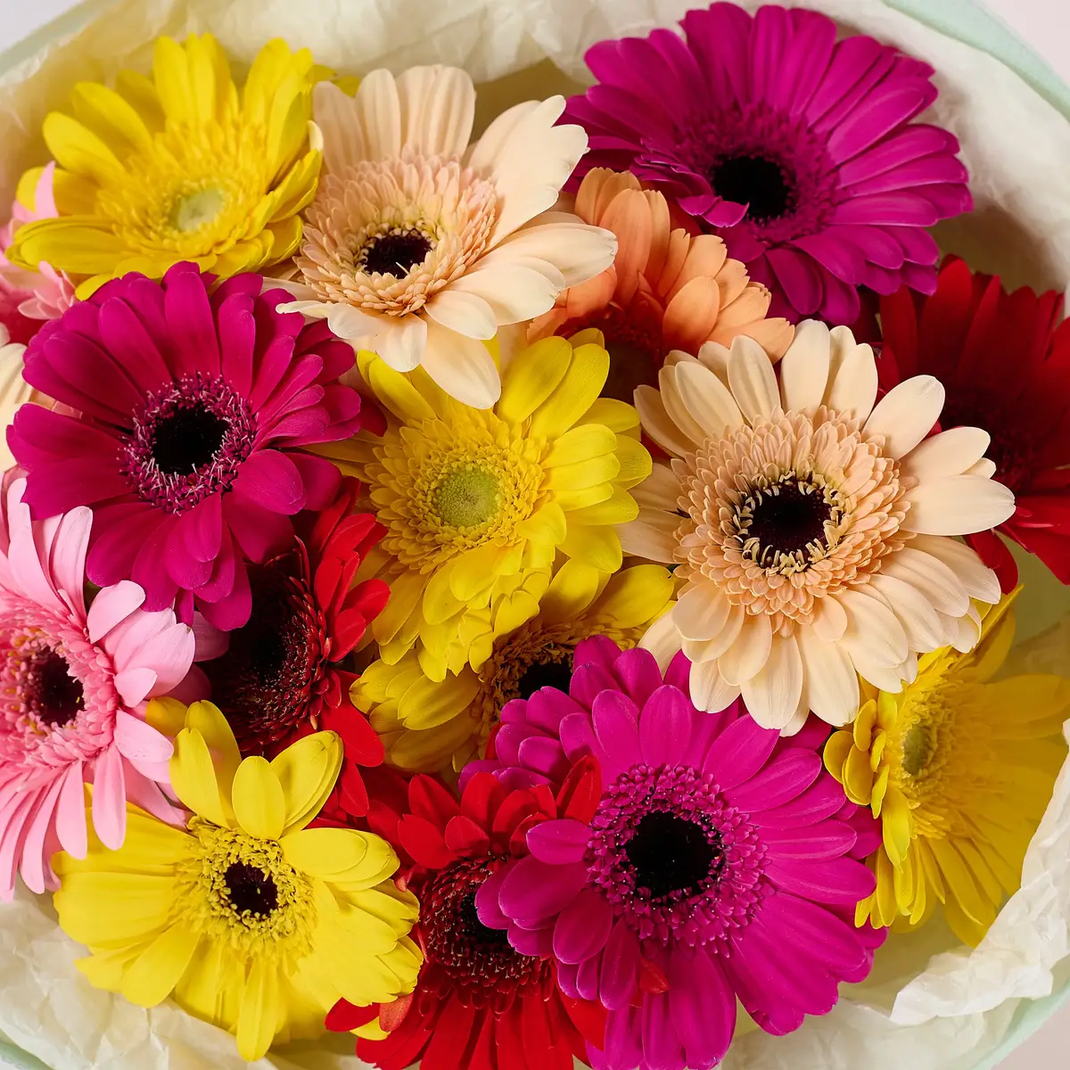 Букет из 15 разноцветных гербер купить недорого в Украине, фото 3