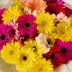 Букет 29 разноцветных Гербер купить