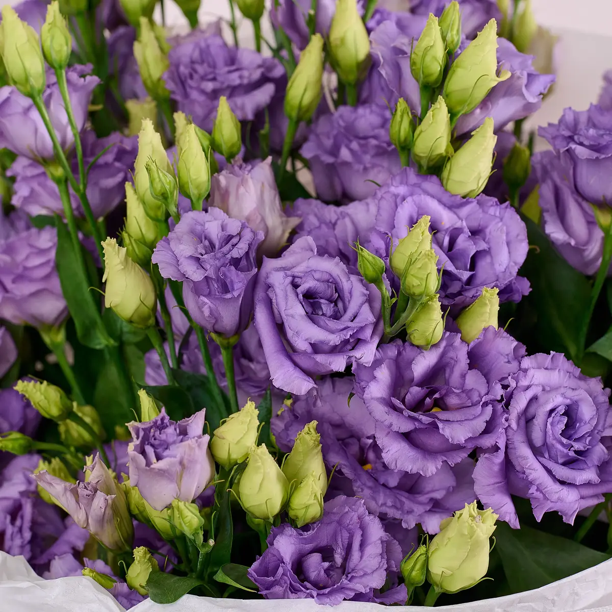 Букет 19 Лавандовых эустом купить недорого в Украине, фото 3